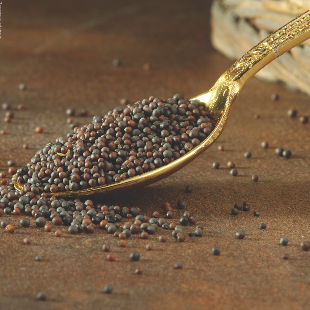 MUSTARD SEEDS